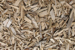 biomass boilers Warley Woods