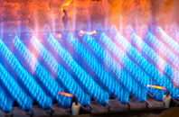 Warley Woods gas fired boilers